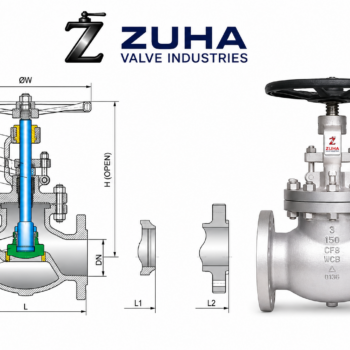 Globe valve class 300