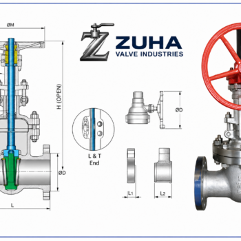 Gate valve Class 900