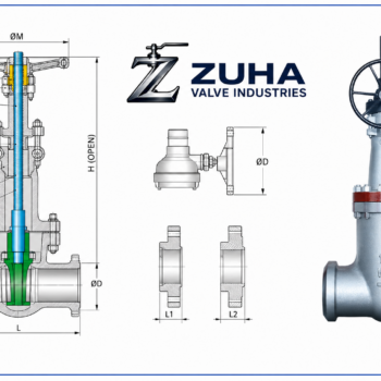 Gate valve Pressure seal 900
