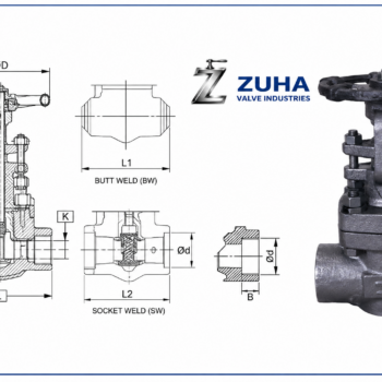 Gate valve Class 800