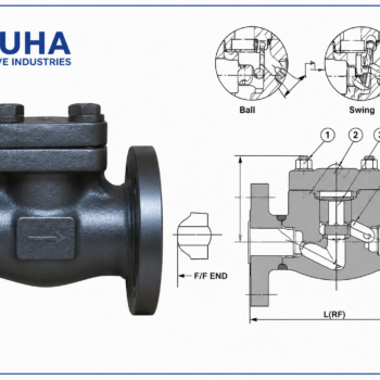 Check Valve Forge 300