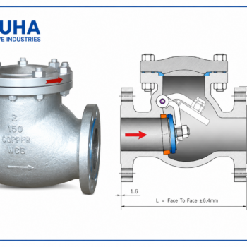 Check Valve Class 300