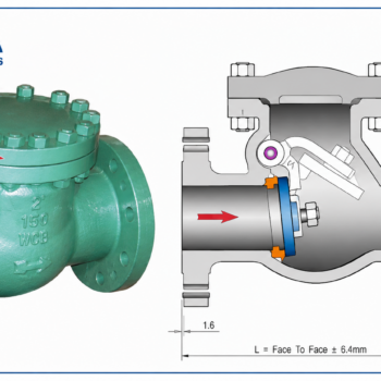 Check Valve Class 600
