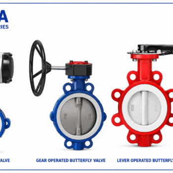 Butterfly valve PTFE Lined